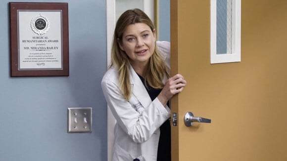 Grey's Anatomy saison 19 : une ex-star de Teen Wolf débarque au casting
