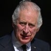 "Il est raciste ?" : le roi Charles III au centre d'une vidéo polémique, les accusations pleuvent