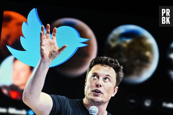 Photo montage - Portrait de Elon Musk sur fond de logo Twitter. Le 22 décembre 2022 © Adrien Fillon / Zuma Press / Bestimage  December 22, 2022, Composite image: MUSK, his hand raised, points out Twitter logo. In the background, MUSK s Twitter profile. ELON MUSK, Twitter s current CEO, made a poll in which he asked users whether or not he should step down as CEO of the social network. The majority of them voted yes. (Credit Image: © Adrien Fillon/ZUMA Press Wire) 