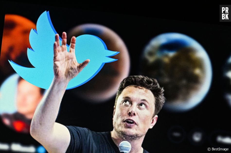 "Pause des essais immédiate" : Elon Musk et 1000 autres personnalités