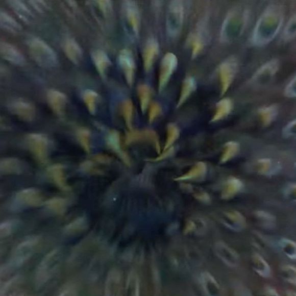 Les images de la bande-annonce du film "En eaux (très) troubles" avec Jason Statham.  Jason Statham goes underwater to kill three even bigger sharks in first look trailer for Meg 2: The Trench. British action star Jason Statham comes face to face with another deep sea-dwelling prehistoric creature - the Kronosaurus - in the official trailer for Meg 2: The Trench. Shortly after The Meg grossed 0 million worldwide in 2018, its sequel was confirmed. The original film followed a group of scientists who were attacked by a Megladon - a species of giant shark previously thought to be extinct. While details about Meg 2 have been under wraps since production began in early 2022, Warner Bros. has pulled back the curtain on the film after debuting its first trailer ahead of the movie’s August 4, 2023, premiere. As the title suggests, the team of scientists will return to the bottom of the Pacific Ocean where the Megalodon was discovered in the original film. Picking up a few years after the timeline in The Meg, Statham’s character, Jonas Taylor, and his research team discover the thought-to-be extinct Kronosaurus, an alligator-adjacent creature that lived during the Early Cretaceous period over 100 million years ago. Meg 2 will star Statham, Cliff Curtis, Wu Jing , Sienna Guillory, Skyler Samuels, Page Kennedy, Shuya Sophia Cai and Sergio Peris-Mencheta. Li Bingbing, who led The Meg opposite Statham, will not be a part of the sequel. The Meg was based on Steve Alten’s techno-thriller 1997 novel Meg: A Novel of Deep Terror. The original adaptation was written by Dean Georgaris, Erich Hoeber and Jon Hoeber, who have also written Meg 2. 