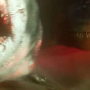 Les images de la bande-annonce du film "En eaux (très) troubles" avec Jason Statham.  Jason Statham goes underwater to kill three even bigger sharks in first look trailer for Meg 2: The Trench. British action star Jason Statham comes face to face with another deep sea-dwelling prehistoric creature - the Kronosaurus - in the official trailer for Meg 2: The Trench. Shortly after The Meg grossed 0 million worldwide in 2018, its sequel was confirmed. The original film followed a group of scientists who were attacked by a Megladon - a species of giant shark previously thought to be extinct. While details about Meg 2 have been under wraps since production began in early 2022, Warner Bros. has pulled back the curtain on the film after debuting its first trailer ahead of the movie’s August 4, 2023, premiere. As the title suggests, the team of scientists will return to the bottom of the Pacific Ocean where the Megalodon was discovered in the original film. Picking up a few years after the timeline in The Meg, Statham’s character, Jonas Taylor, and his research team discover the thought-to-be extinct Kronosaurus, an alligator-adjacent creature that lived during the Early Cretaceous period over 100 million years ago. Meg 2 will star Statham, Cliff Curtis, Wu Jing , Sienna Guillory, Skyler Samuels, Page Kennedy, Shuya Sophia Cai and Sergio Peris-Mencheta. Li Bingbing, who led The Meg opposite Statham, will not be a part of the sequel. The Meg was based on Steve Alten’s techno-thriller 1997 novel Meg: A Novel of Deep Terror. The original adaptation was written by Dean Georgaris, Erich Hoeber and Jon Hoeber, who have also written Meg 2. 