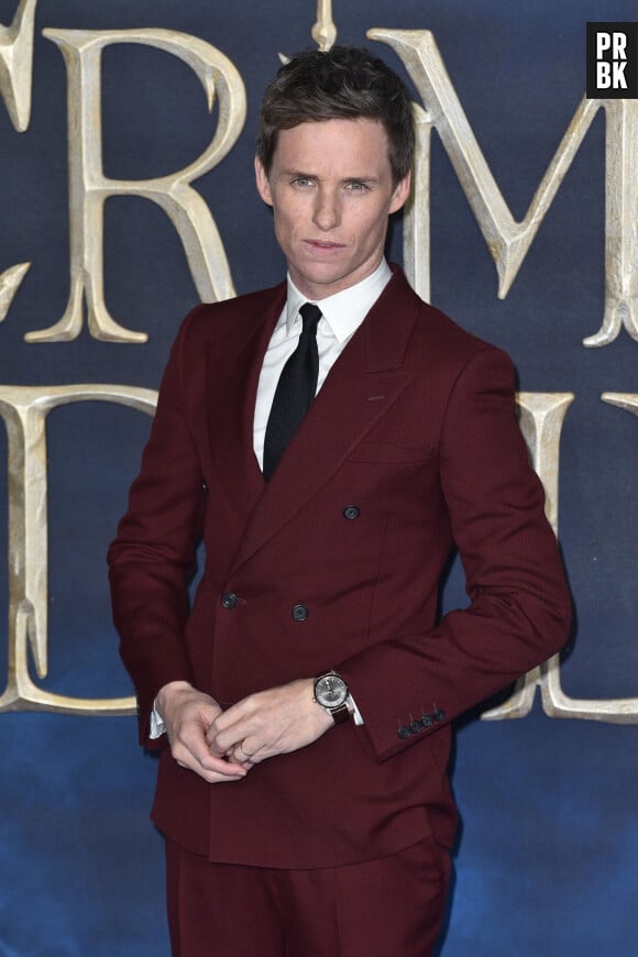 Eddie Redmayne - Avant-Première du film "Les Animaux fantastiques : Les Crimes de Grindelwald" au cinéma Cineworld Leicester Square à Londres, Royaume Uni, le 13 novembre 2018.


