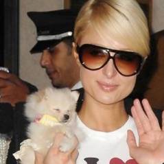 Paris Hilton ... elle tacle méchamment Lindsay Lohan