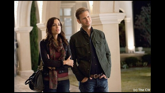 Vampire Diaries saison 3 : Torrey DeVitto in love d’Alaric (SPOILER)