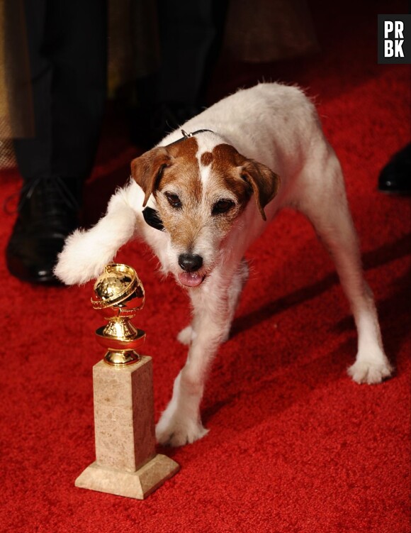 Uggie aux Golden Globes 2012 !