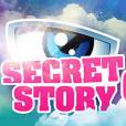 Secret Story 6 démarrera vendredi 25 mai 2012