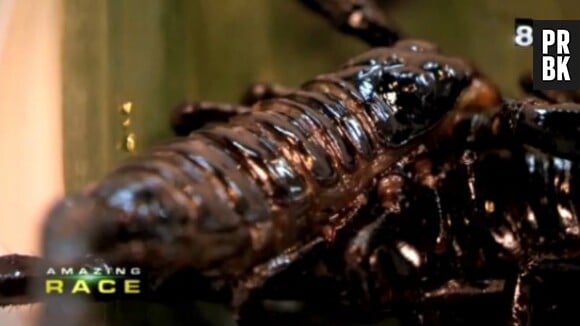 Vous prendrez bien un petit scorpion grillé dans Amazing Race ?