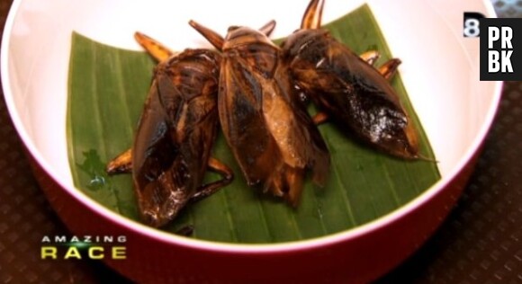 Amazing Race peut aussi proposer des épreuves carrément écoeurantes ! 