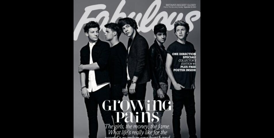 Les One Direction ont aussi été mis à l&#039;honneur par Fabulous