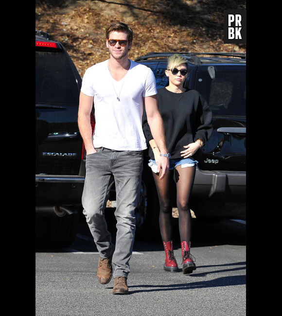 Miley Cyrus et Liam Hemsworth s'affichent ensemble pour faire taire les rumeurs