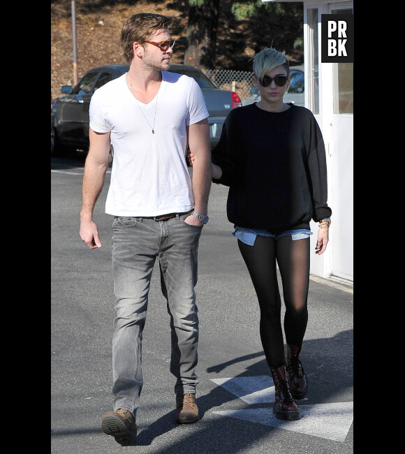 Miley Cyrus et Liam Hemsworth n'ont pas l'air en froid !