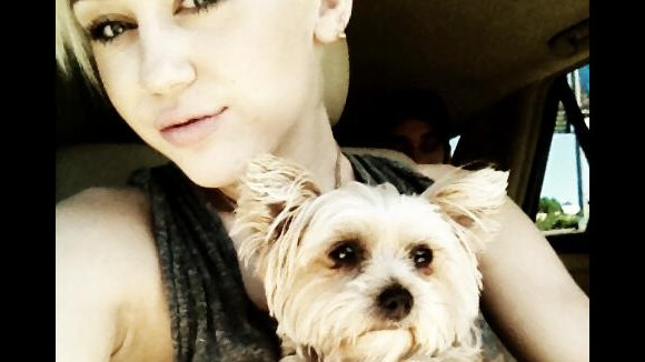 Miley Cyrus : Demi Lovato la soutient après la mort de son chien !