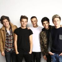 One Direction : des carrières solos prochainement ? Leurs réponses