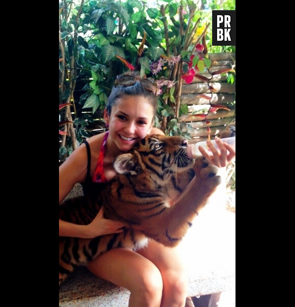 Nina Dobrev veut se marier avec le tigre