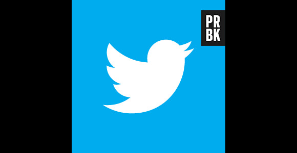 Twitter, victime des pirates : une atteinte à notre vie privée
