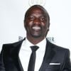 Akon est accusé d'avoir rendu un spectacteur handicapé à vie