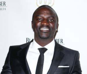 Akon est accusé d'avoir rendu un spectacteur handicapé à vie