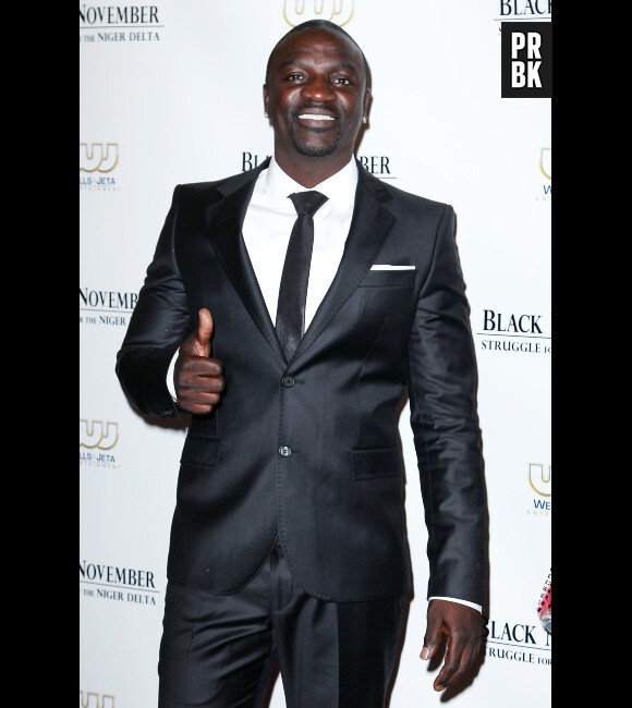 Akon est accusé d'avoir rendu un spectacteur handicapé à vie