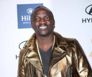 L'homme exige d'Akon une importante somme de dommages et intérêts