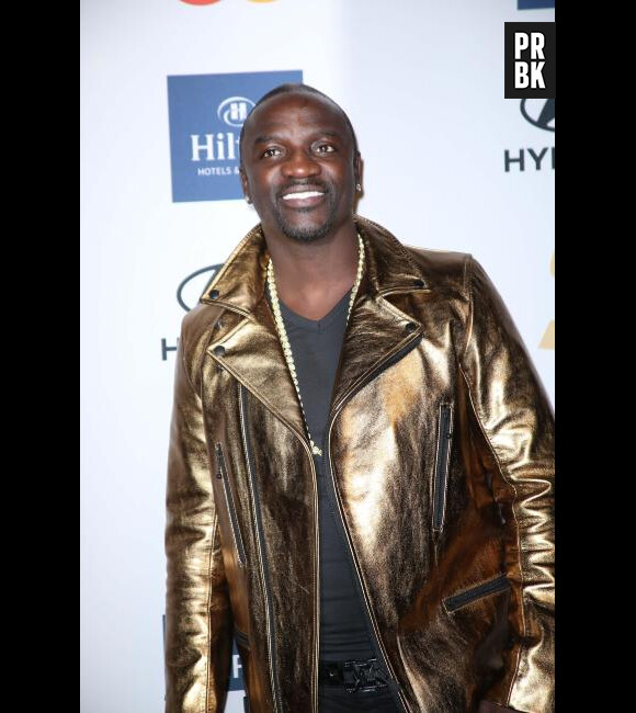 L'homme exige d'Akon une importante somme de dommages et intérêts