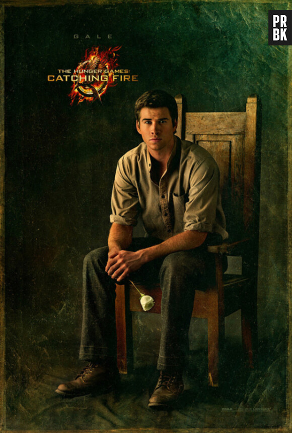 Gale aussi présent sur les posters individuelles d'Hunger Games 2