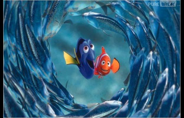 rencontre marin et dory