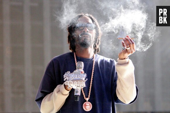 Snoop Dogg, le roi de la ganja