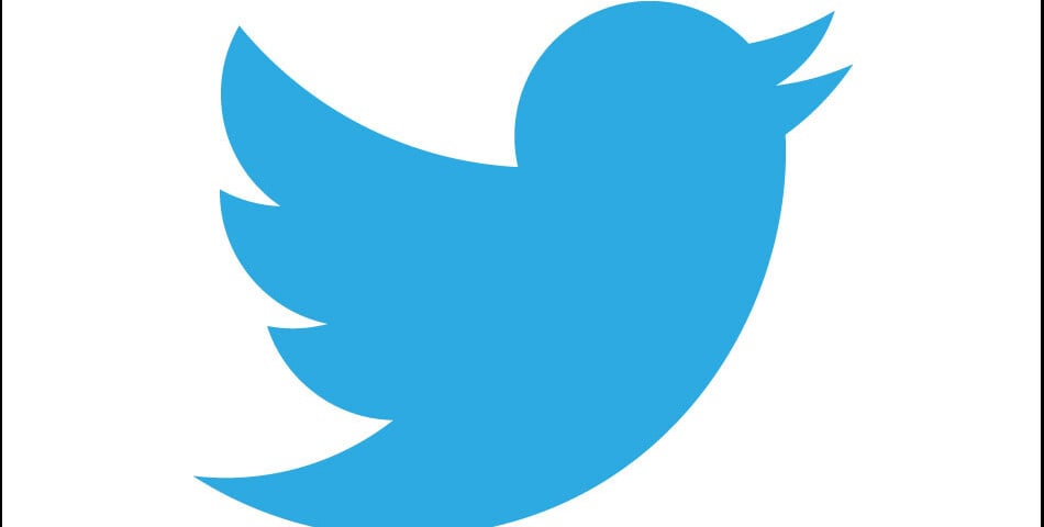 Twitter est le troisième réseau social le plus utilisé par les Français