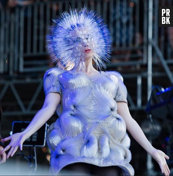 Björk se prend pour un oursin