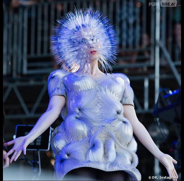 Björk se prend pour un oursin