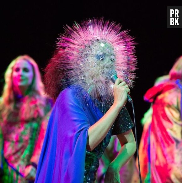Björk se prend pour un oursin