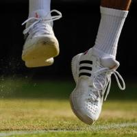 Novak Djokovic : dernière victime du règlement de Wimbledon 2013