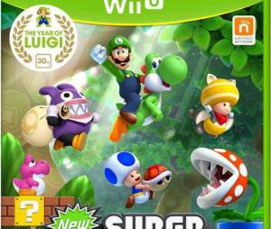 New Super Luigi U