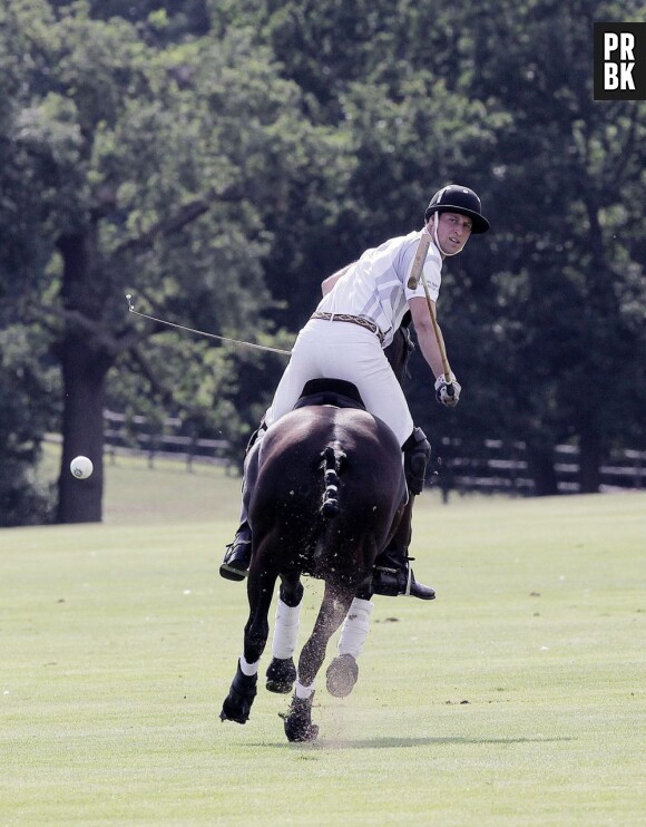Prince William pendant un match de polo, le 3 août 2013 à Ascot