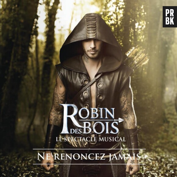 "Robin des Bois, ne renoncez jamais", la cover