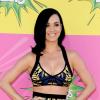 Katy Perry est l'une des célébrités "les plus dangereuses" du net selon McAfee