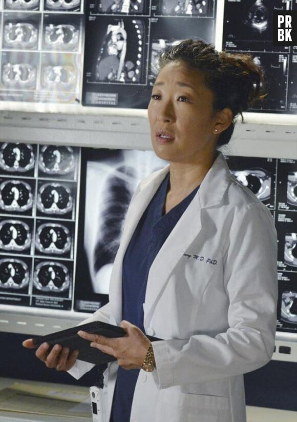 Grey's Anatomy saison 10, épisode 3 : Cristina sur une photo