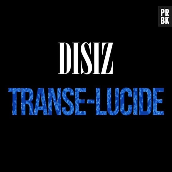 Disiz : "Transe-Lucide", un album attendu pour janvier 2014