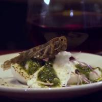 Paris : des scarabées et des scorpions au menu d'un bar