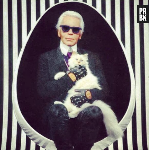 Karl Lagerfeld et son chat Choupette, sur Instagram