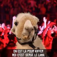 Serge le lama : Lamaoutai, le clip parodique de Philippe Krier