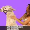 Oukilémonlama - Lamaoutai, le clip officiel avec Serge le Lama (par Philippe Krier)