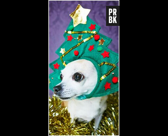 Le bandeau sapin de Noël... pour chien chez Urban Outfitters
