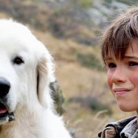 Belle et Sébastien, la série adaptée au cinéma le 18 décembre