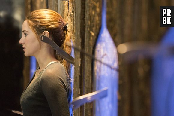 Divergent avec Shailene Woodley et Theo James au cinéma le 9 avril 2014