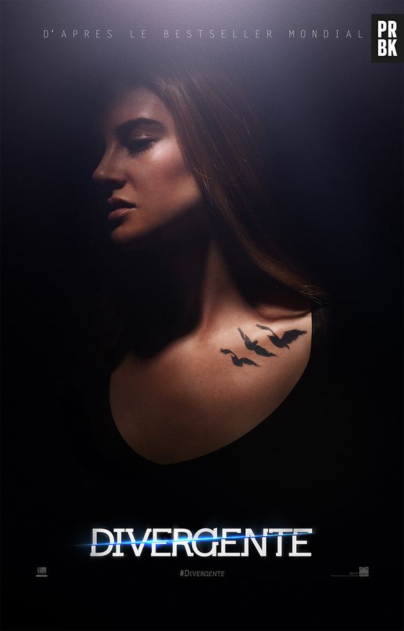 Divergent avec Shailene Woodley et Theo James au cinéma le 9 avril 2014