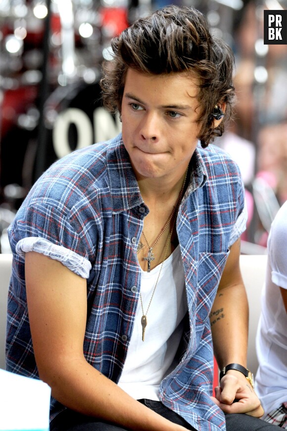 Harry Styles source de tensions chez les One Direction ?