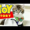Toy Story version chatons