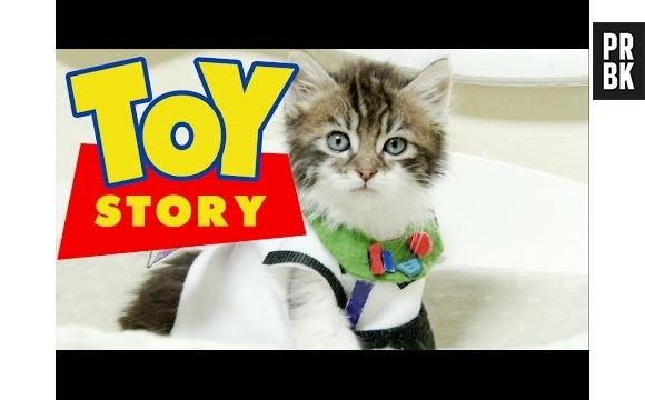 Toy Story version chatons